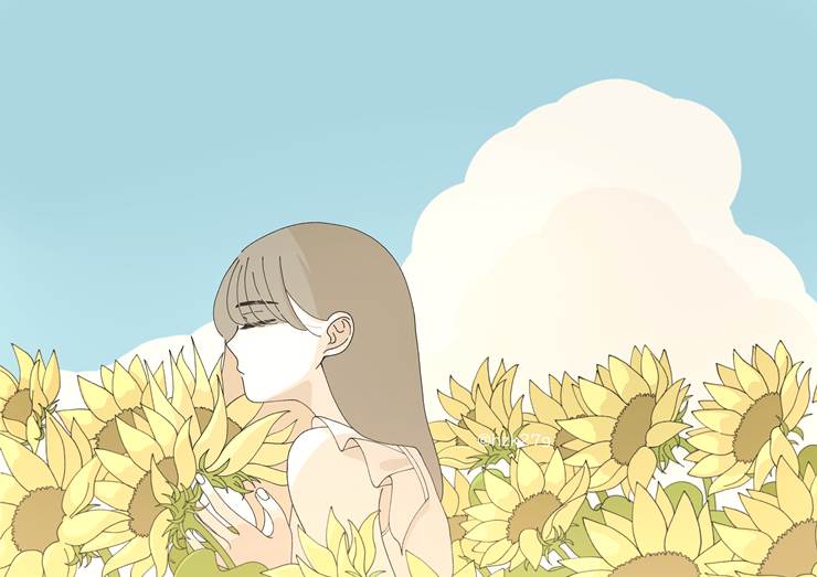 illustration, sunflower