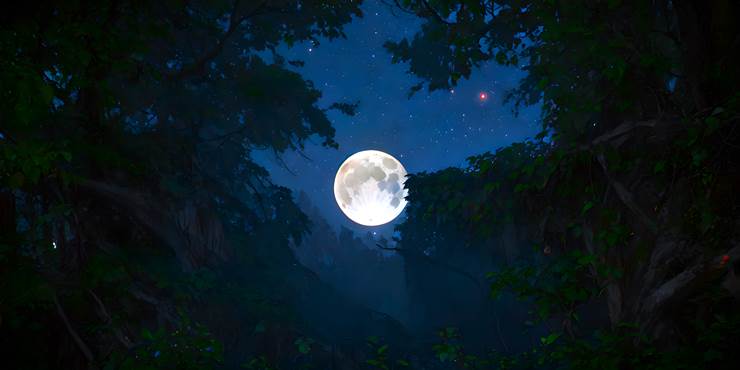 wallpaper, background, 风景, moon, forest, night sky, night