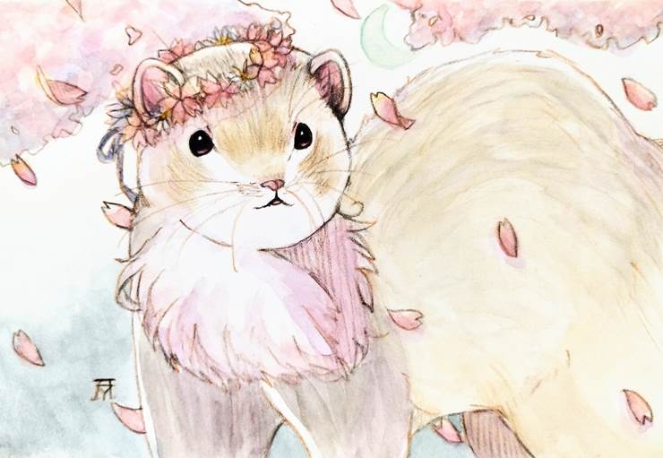 手绘, transparent watercolor, 动物, ferret, sakura, flower crown