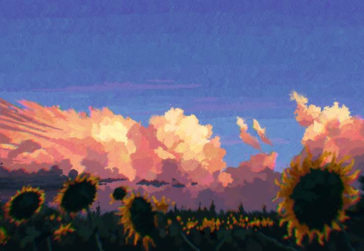 风景, background, 云, aesthetic, 夕阳, sunflowers