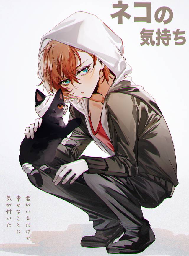 Chuya Nakahara (Bungo Stray Dogs), 太中/双黑, Bungo Stray Dogs BL fanwork