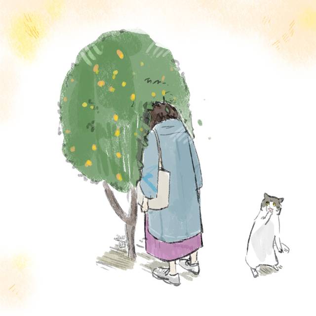 原创, sweet osmanthus