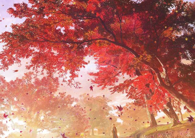 原创, 风景, autumn leaves, autumn, background