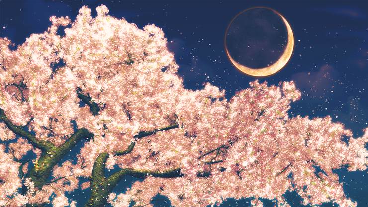 免费素材, free to edit, 风景, background, scenery, 夜樱, Mikazuki, 和风, spring