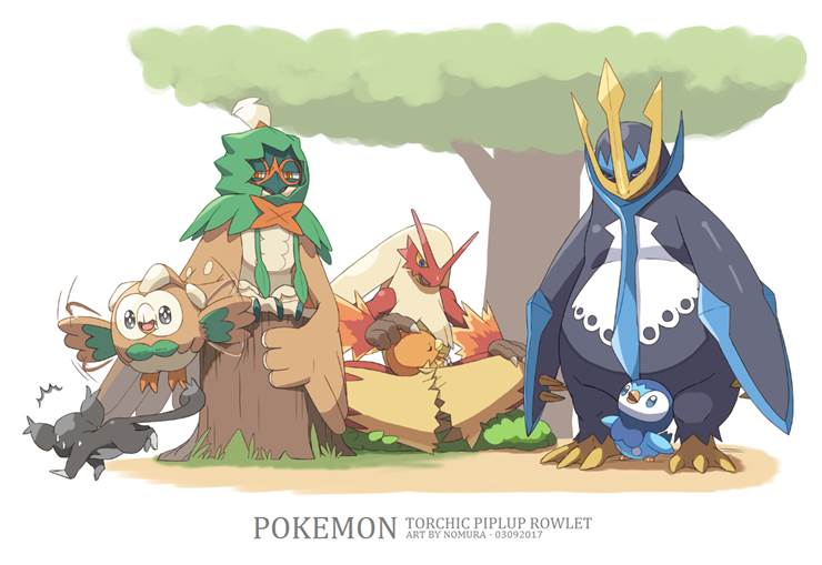 精灵宝可梦, 木木枭, Decidueye, torchic, blaziken, piplup, Empoleon, incredibly cute, Pokemon bird starters, 宝可梦5000收藏