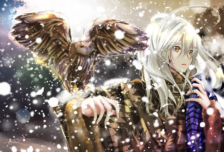 原创, 女孩子, owl, 动物, 白发, long, winter, snow