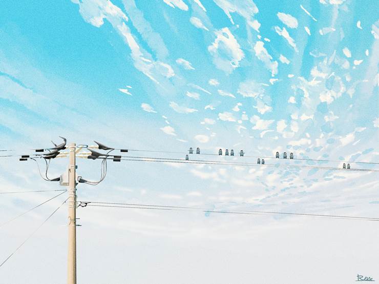 云, utility poles, sky, 企鹅, 蓝