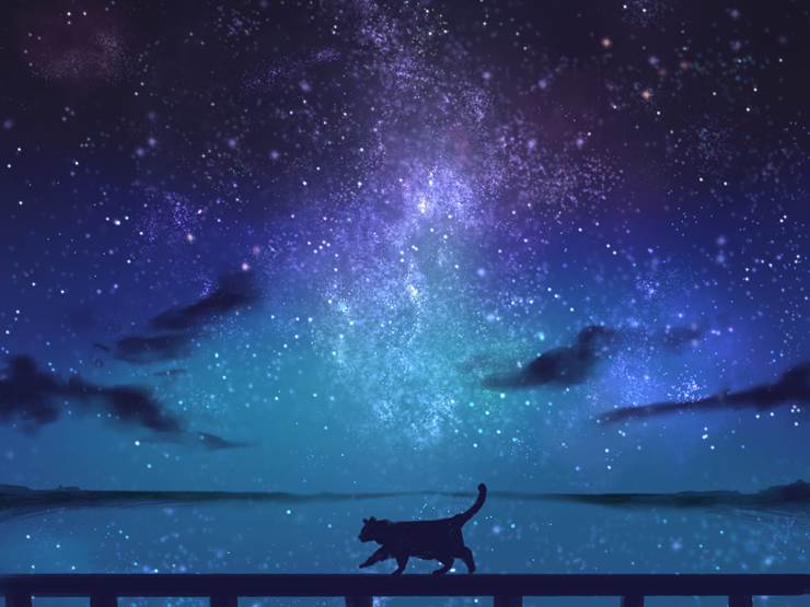 原创, 风景, background, cat, night sky, starry sky, 原创1000users加入书籤