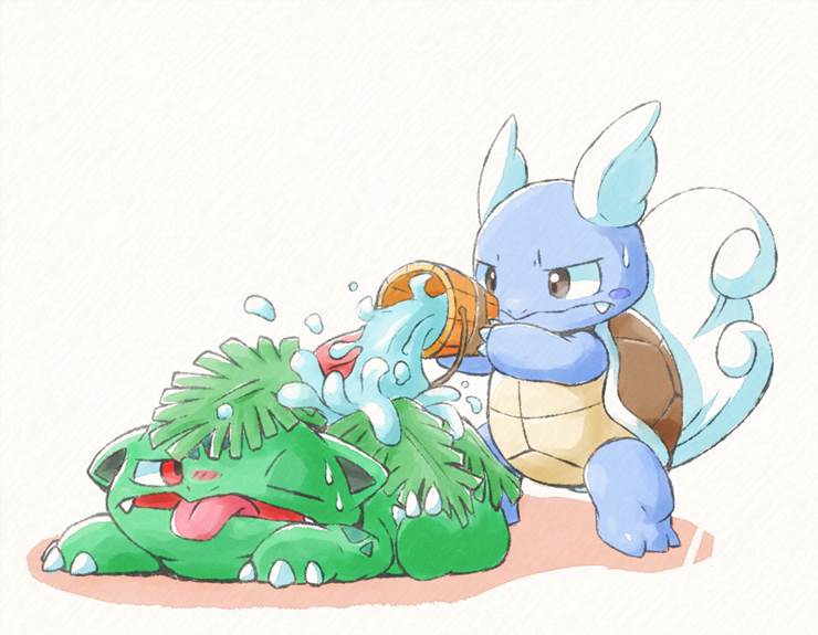 Pokémon, Ivysaur, Wartortle, Pokémon/Pokémon